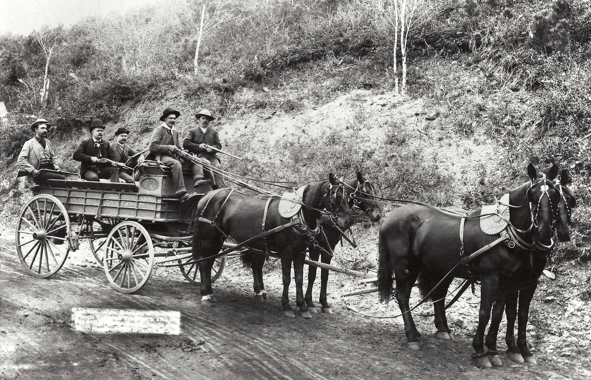 Wells Fargo & Co.'s Express Horses